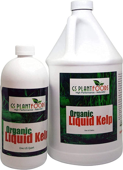 Organic Kelp Fertilizer by  - Omri Certified (1 Quart) - Kelp Fertilizer for Gardens, Lawns & Soil