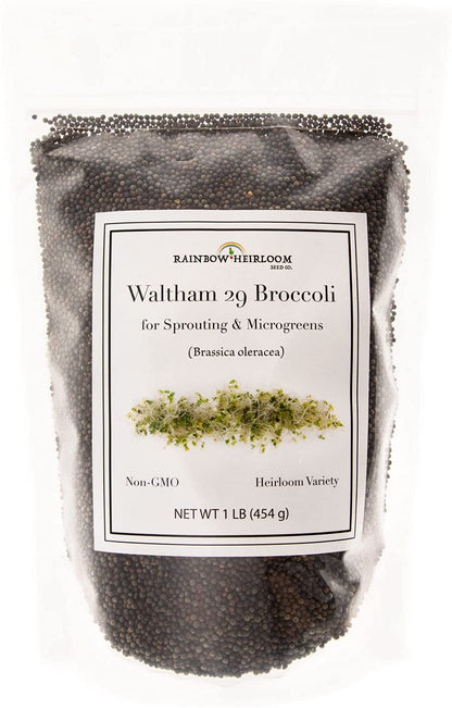 Broccoli Seeds for Sprouting & Microgreens | Waltham 29 Variety | Non GMO & Heirloom Seeds | Bulk 1 LB (16 Oz) Resealable Bag |