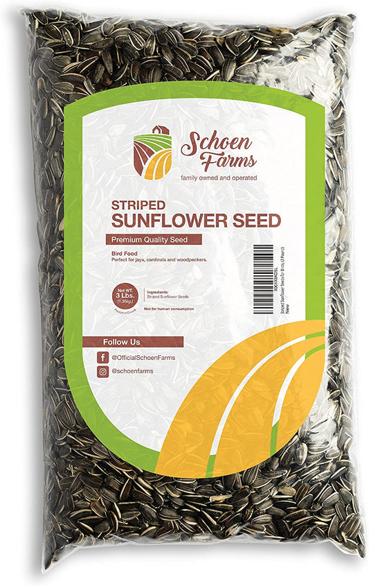 Striped Sunflower Seeds for Wild Birds, (3 Pound)