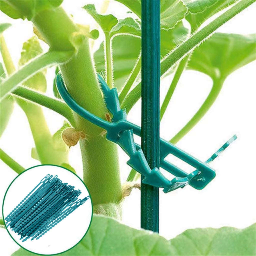 50Pcs Reusable Garden Cable Ties Self-Locking Plastic Tie Adjustable Plant Support Shrubs Fastener Zip Loop Wire Wrap