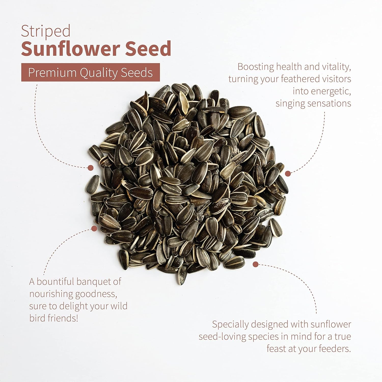 Striped Sunflower Seeds for Wild Birds, (3 Pound)