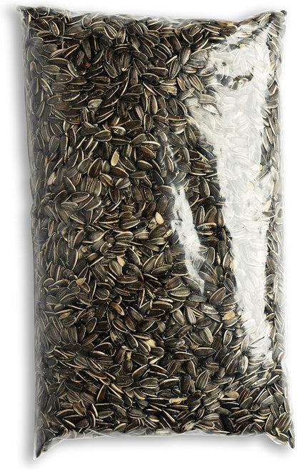 Striped Sunflower Seeds for Wild Birds, (3 Pound)