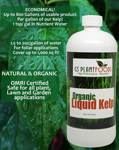 Organic Kelp Fertilizer by  - Omri Certified (1 Quart) - Kelp Fertilizer for Gardens, Lawns & Soil