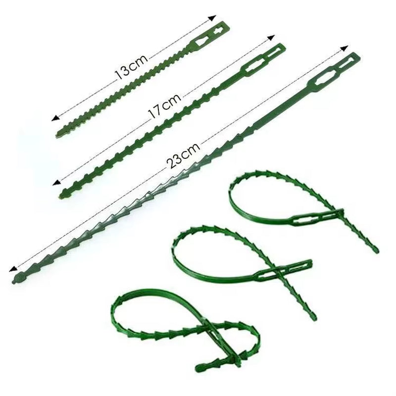 50Pcs Reusable Garden Cable Ties Self-Locking Plastic Tie Adjustable Plant Support Shrubs Fastener Zip Loop Wire Wrap